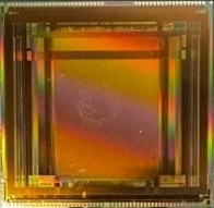 Large Format Visible Sensor